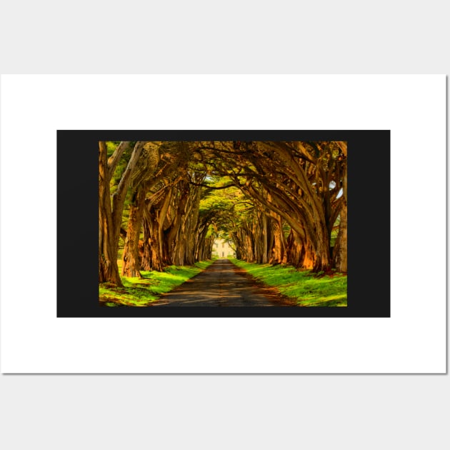 Cypress Golden Glow Wall Art by AdamJewell